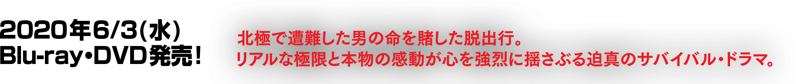 12020年6/3(水)Blu-ray・DVD発売！　北極で遭難した男の命を賭した脱出行。リアルな極限と本物の感動が心を強烈に揺さぶる迫真のサバイバルドラマ。